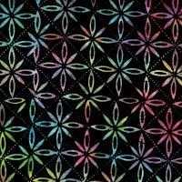 ttXTONGA-B3634 MULTI